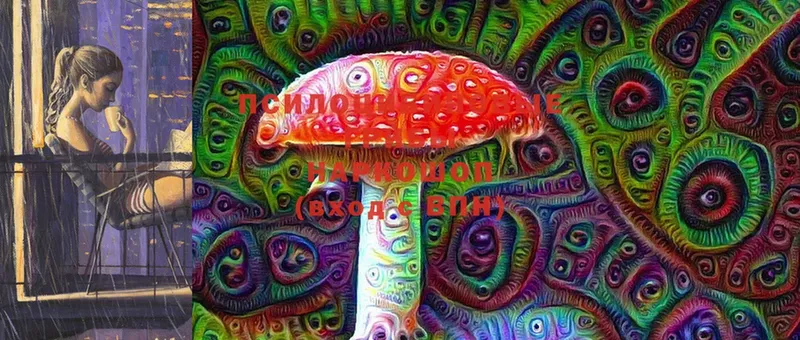 мега зеркало  Энгельс  Галлюциногенные грибы MAGIC MUSHROOMS 